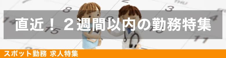 直近２週間特集